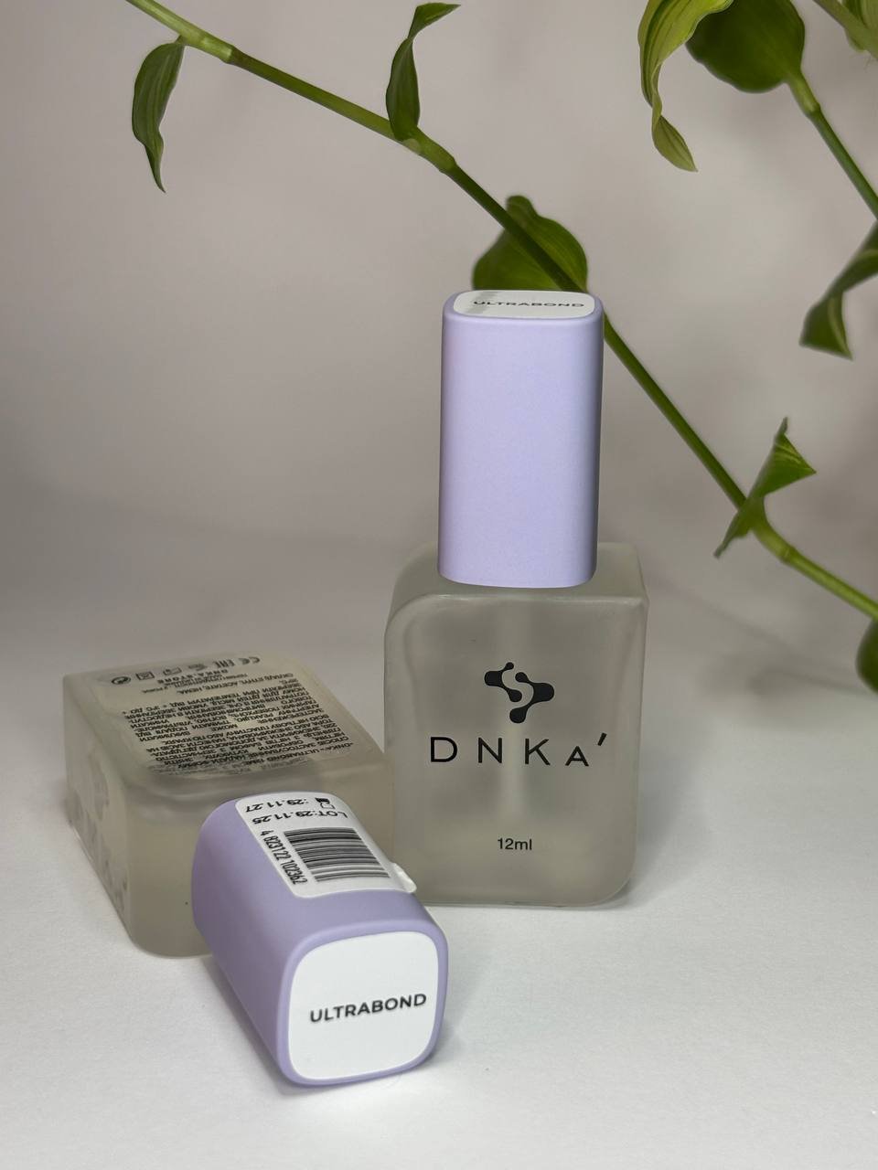 photo_2026-02-03_16-07-46