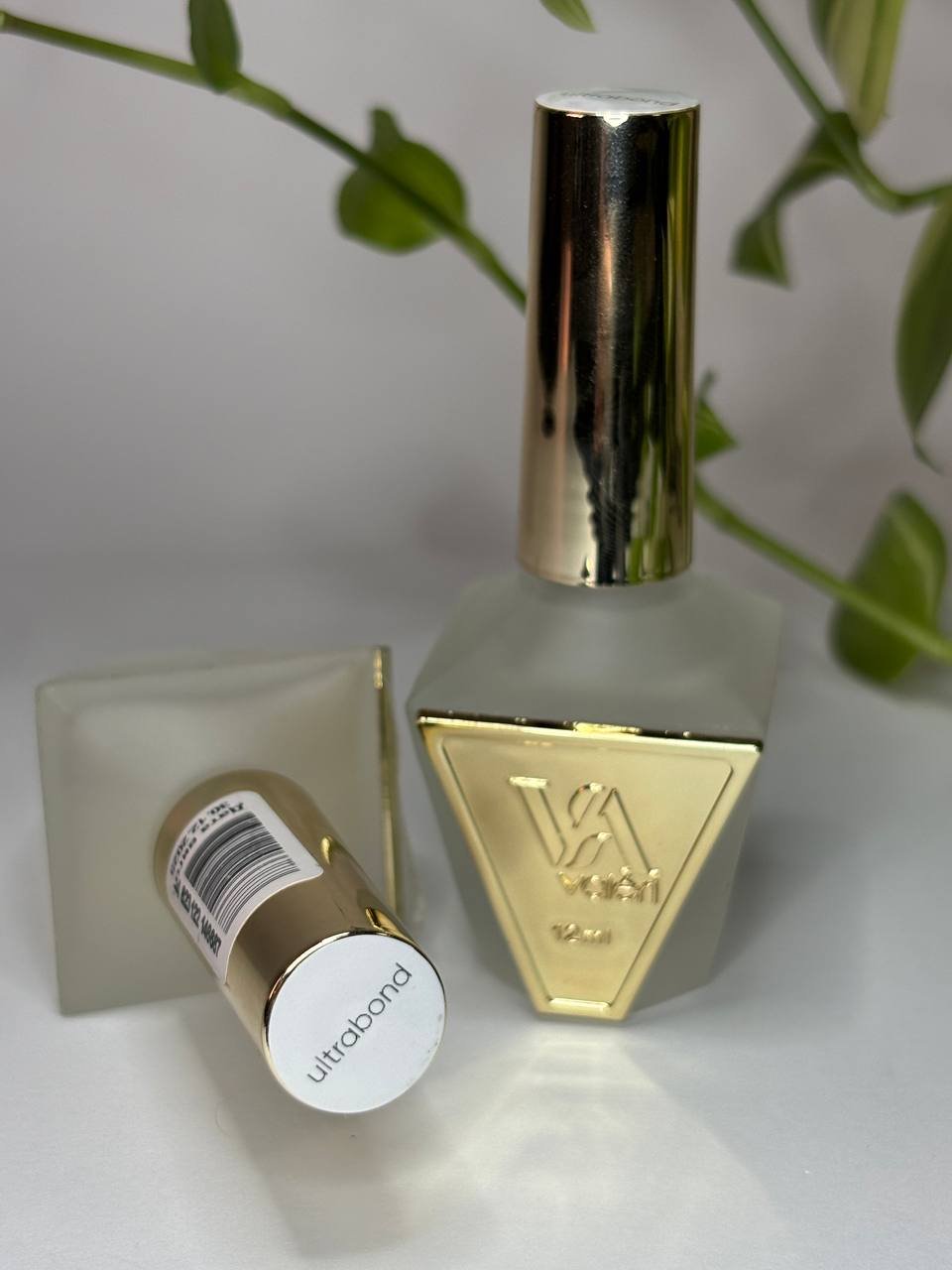 photo_2026-02-03_16-07-49