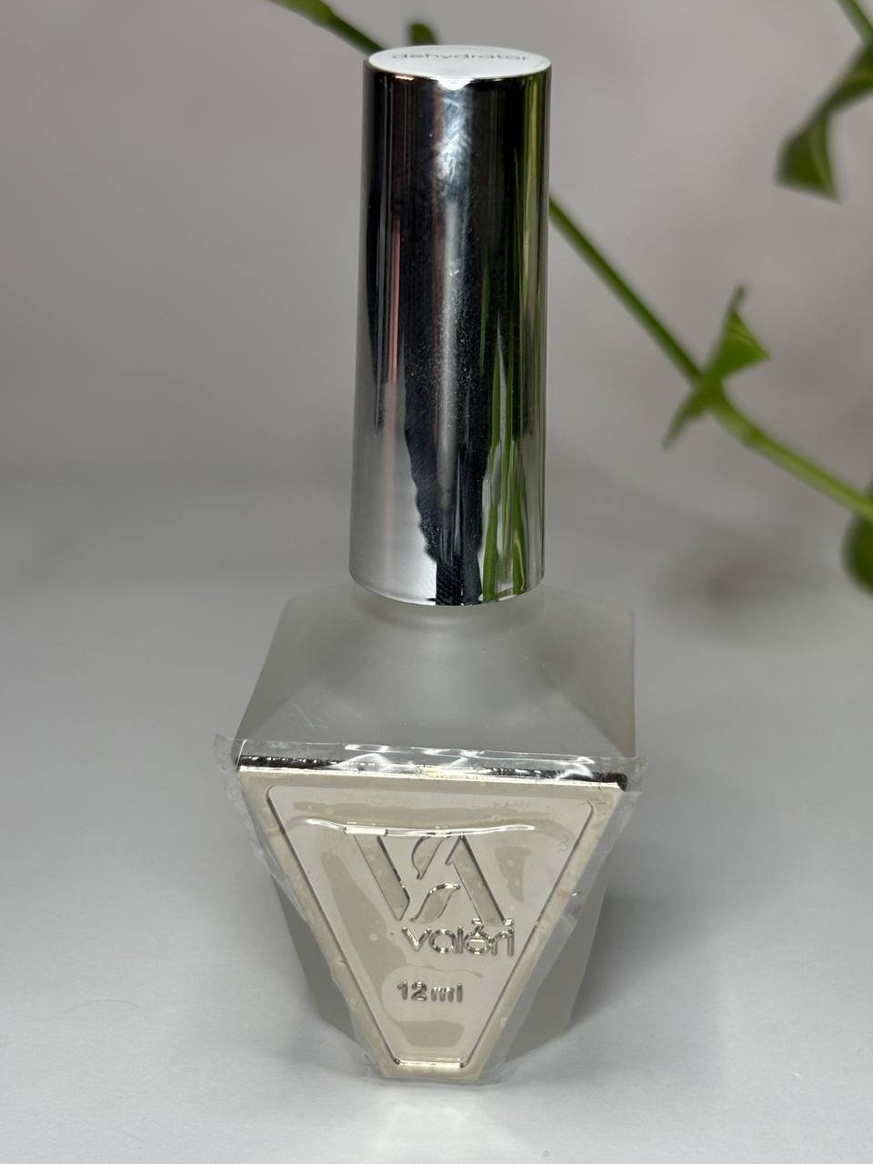 photo_2026-02-03_16-07-58