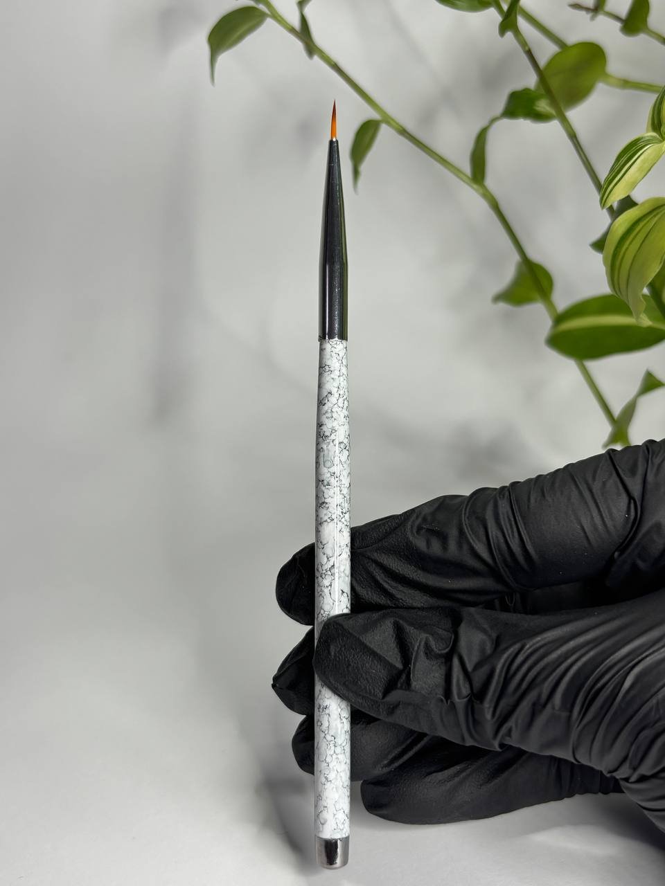 photo_2026-02-03_16-30-33