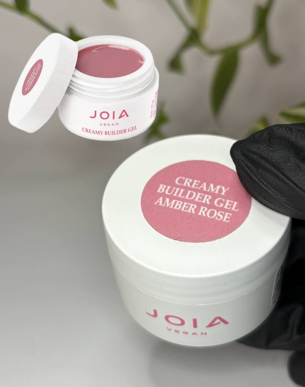 photo_2026-02-03_16-06-58