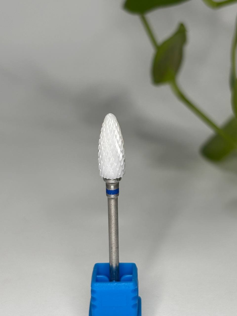 photo_2026-02-03_16-30-35 (2)