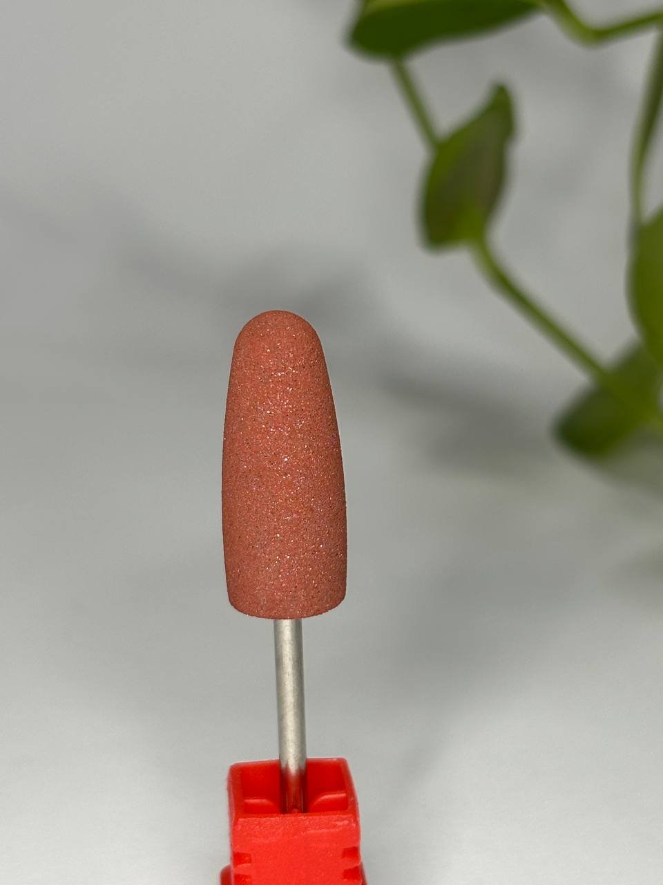 photo_2026-02-03_16-30-36 (4)