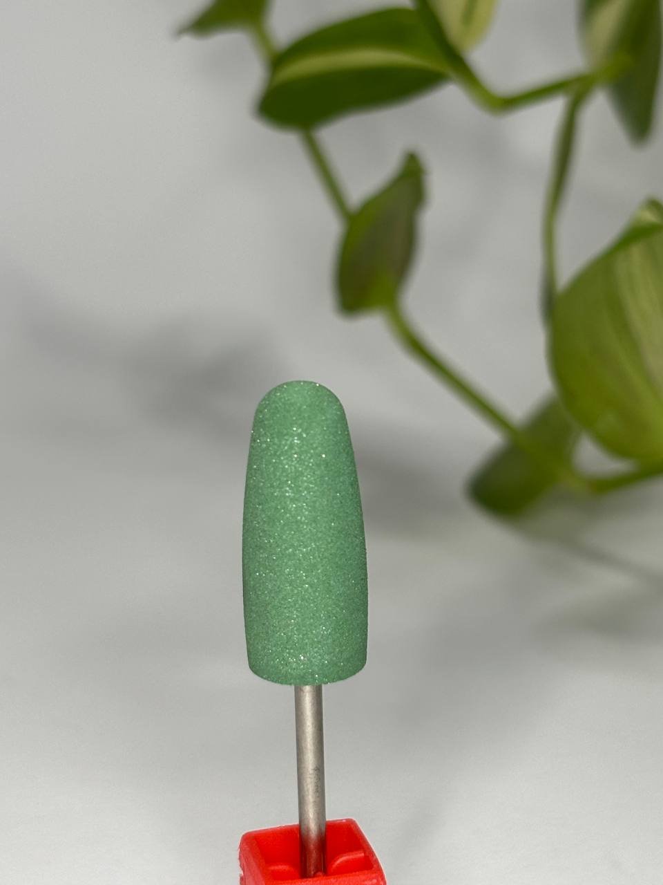 photo_2026-02-03_16-30-36 (5)