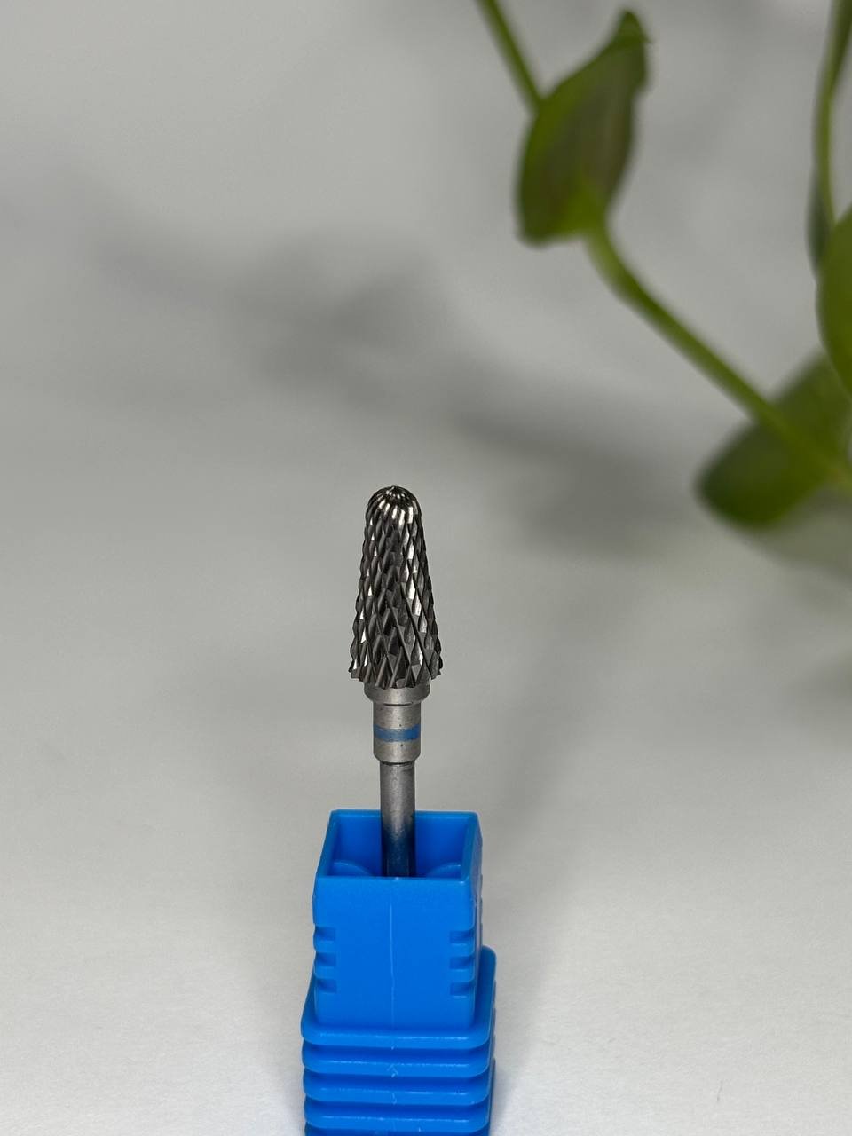 photo_2026-02-04_11-10-23 (2)